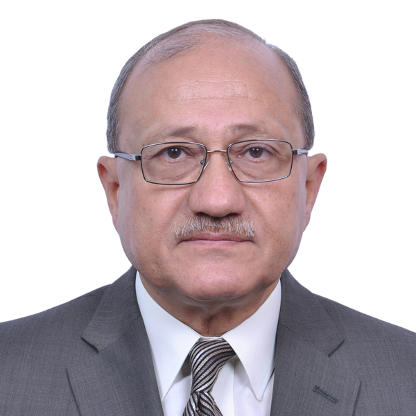 Prof. Aly S. Nazmy